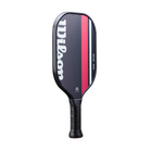Envy Plus Pickleball Paddle