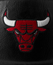 NBA Team Premiere Basketball