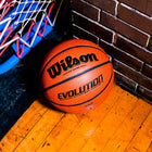 Evolution Game Basketball