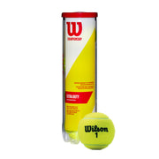 Championship XD Tennis 4-Ball can