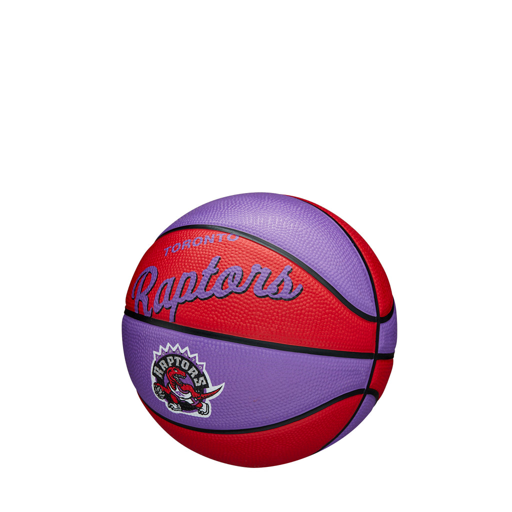 Raptors basketball sales