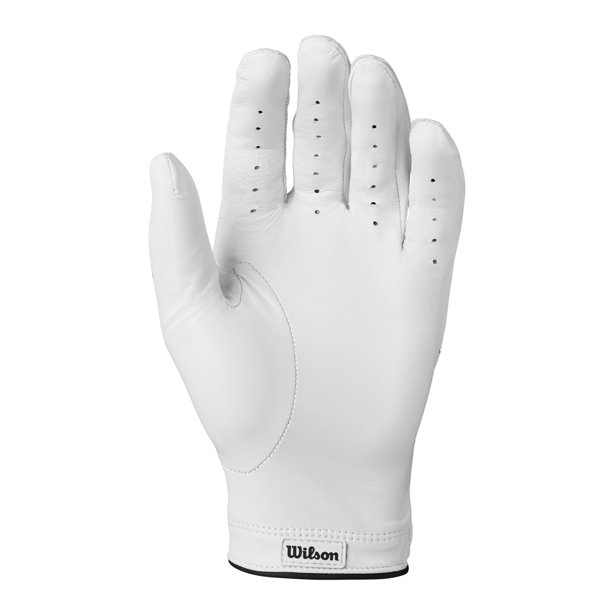 Staff Model Glove