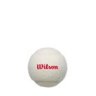 Championship Legacy 3 Ball Can White (24 Pack)