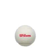 Championship Legacy 3 Ball Can White (24 Pack)