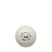 Championship Legacy 3 Ball Can White (24 Pack)