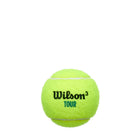Tour Premier All Court Tennis 4-Ball Can