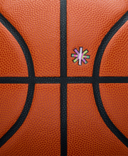 Evo*Editions 308 "Libre" Basketball