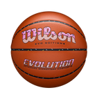 Evo*Editions 306 "Sprinkles" Basketball