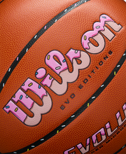 Evo*Editions 306 "Sprinkles" Basketball