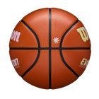 Evo*Editions Drop 309 "Faux Feather" Basketball