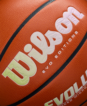 Evo*Editions Drop 309 "Faux Feather" Basketball