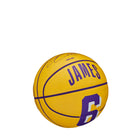 NBA Player Icon Mini Basketball - LeBron