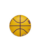 NBA Player Icon Mini Basketball - LeBron