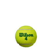 Starter Green Tennis 4-Ball Can