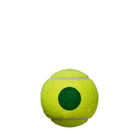 Starter Green Tennis 4-Ball Can