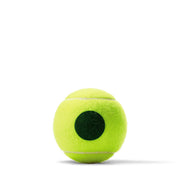 US Open Green Tennis 3-Ball 24 Can Case