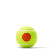 US Open Orange Tennis 3-Ball 24 Can Case