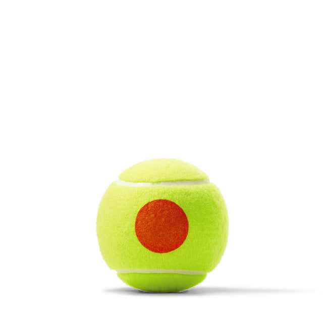 US Open Orange Tennis 3-Ball 24 Can Case