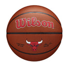 NBA Team Composite Chicago Bulls