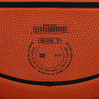 Wilson NBA DRV Pro Basketball